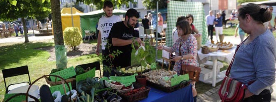 Canido convértese nunha gran horta con produtos do agro e artesanais