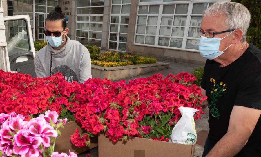 San Sadurniño, Pontedeume, Narón y Fene se incorporan a la iniciativa “Vilas en flor”