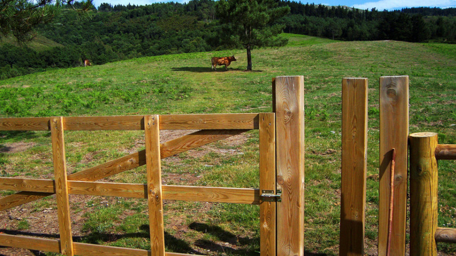 La nueva ley  de recuperación  de tierras fija multas de hasta 3.000 euros por su abandono