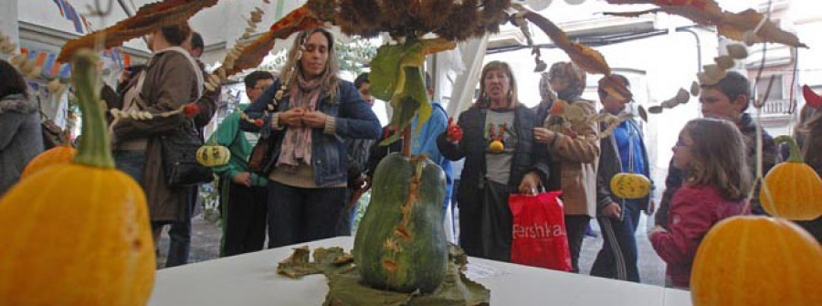Cedeira celebra o sábado a XXIV edición do Samaín máis senlleiro