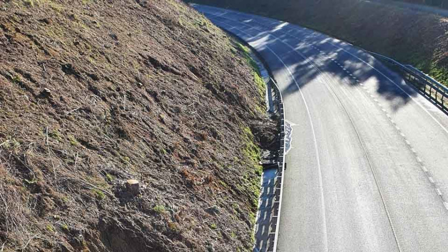 El BNG lleva al Parlamento el estado de la carretera AC-653 tras los desbroces de la Xunta