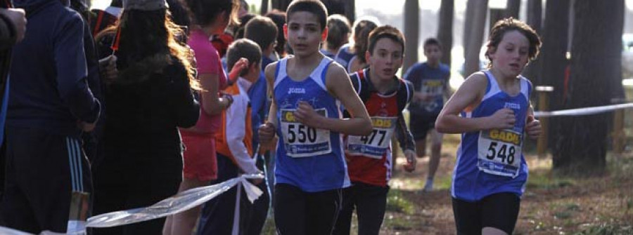 Una concurrida prueba de San Xurxo cerró el circuito escolar de cross