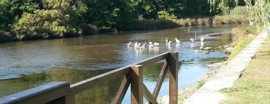 CEDEIRA - El parque didáctico de  A Xunqueira será una realidad en las próximas semanas