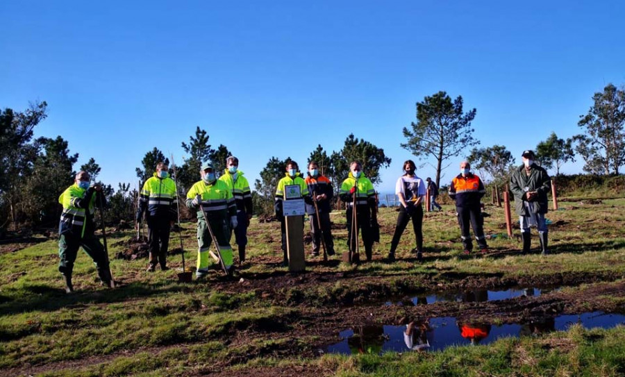 Concello de Fene, Bétula y Aspaneps reforestan los montes de Marraxón