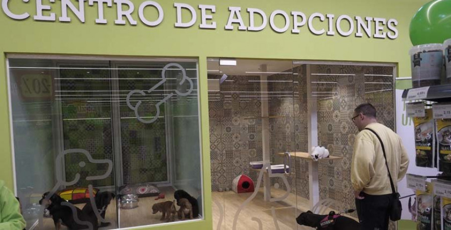 Abre sus puertas en A Gándara la firma Tiendanimal con 
una superficie de 
más de 1.100 metros