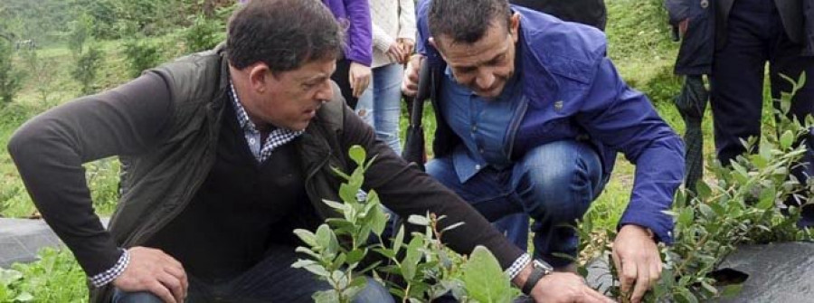 Besteiro apuesta por proyectos como el de Horticina para luchar contra la despoblación del rural