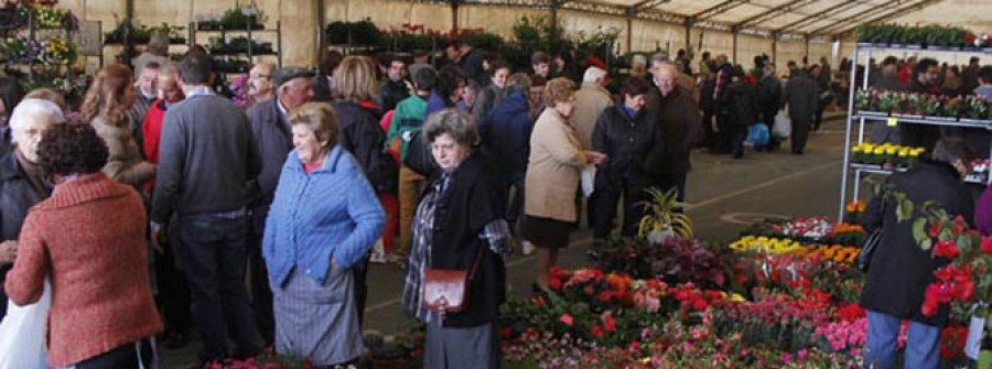 A XIX Feira da Plantación de San Sadurniño celebrarase o 27 de abril