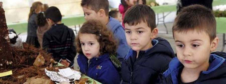 A Semana Micolóxica achega aos escolares ao mundo dos cogomelos