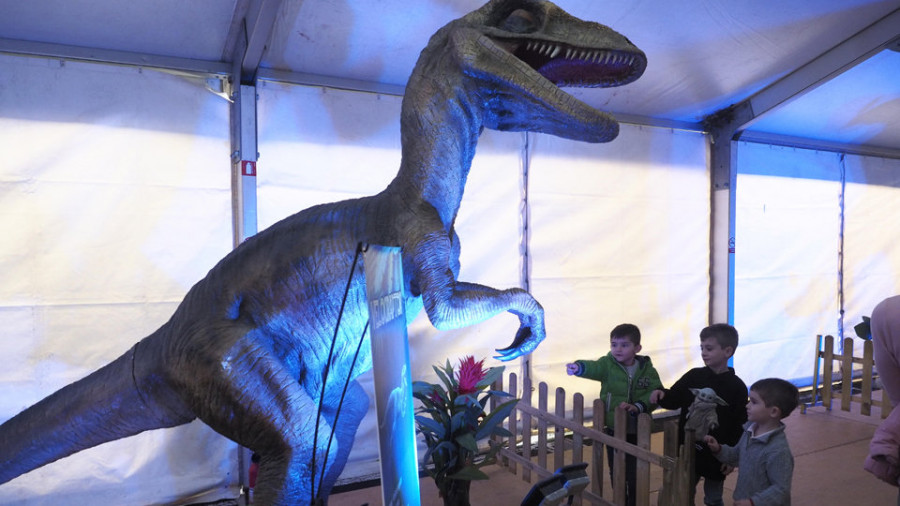 La exposición internacional de dinosaurios acerca a Ferrol piezas inéditas y animadas