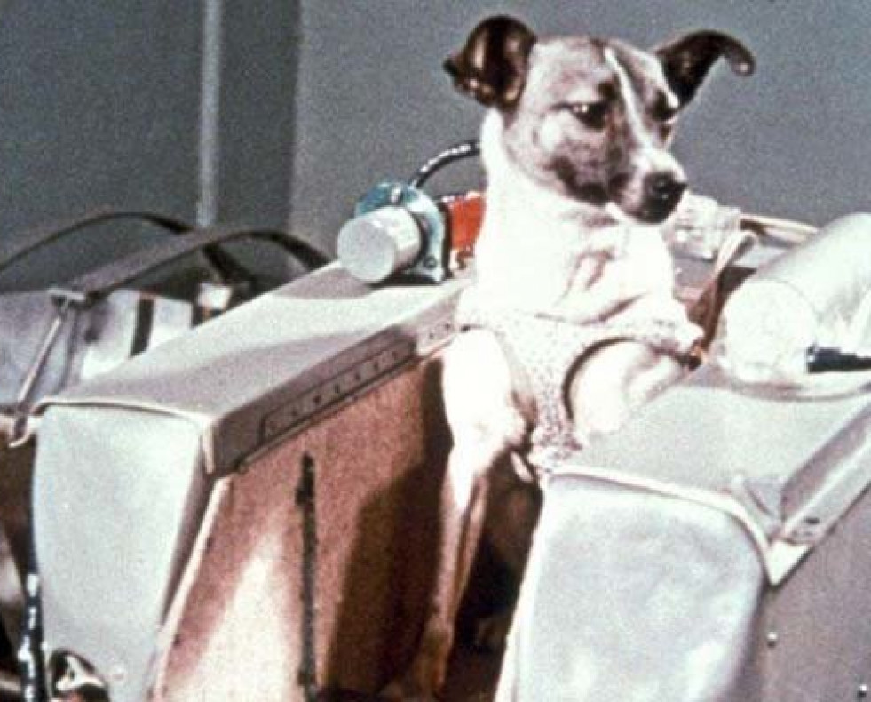 El viaje espacial de la perrita Laika cumple sesenta años