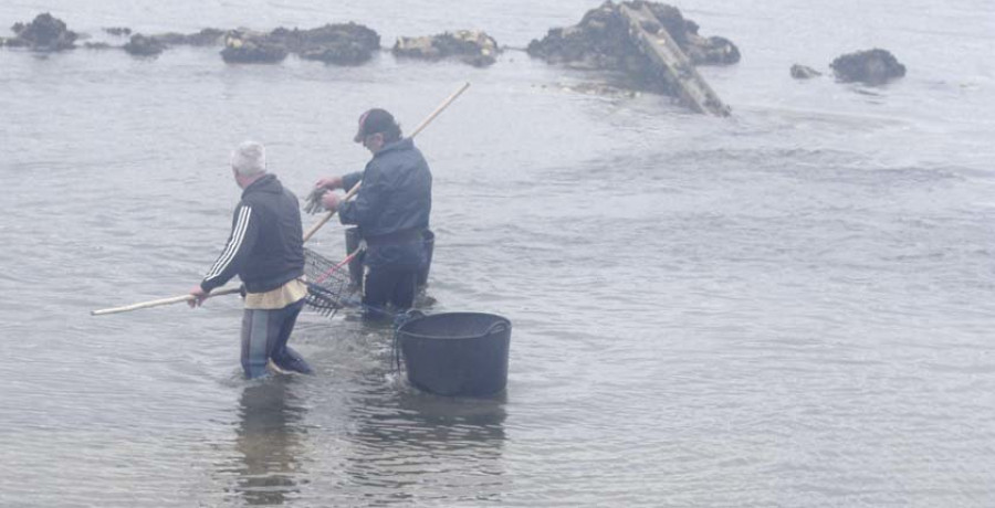 La Consellería do Mar anima a las mujeres a participar en los comicios de las cofradías