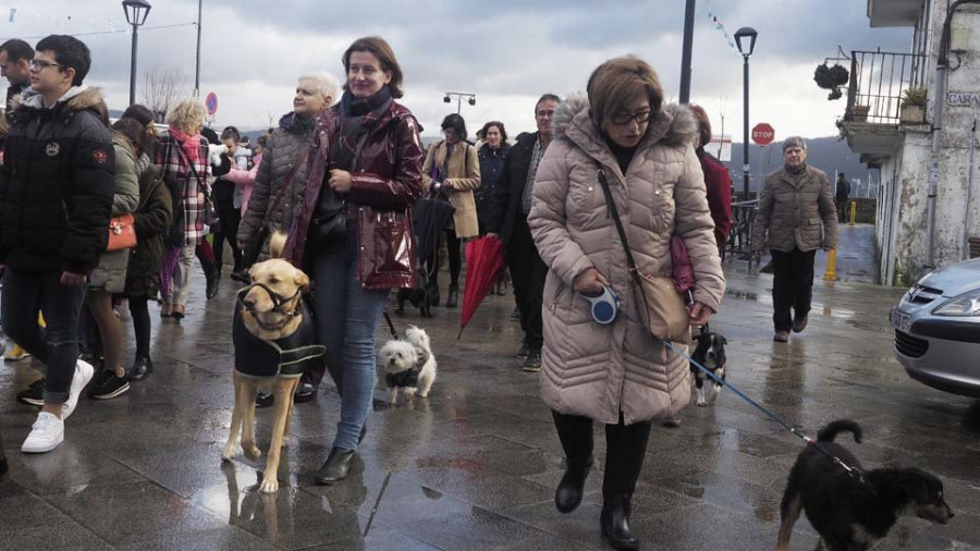 San Antonio sale por primera vez en procesión en Ares rodeado de mascotas