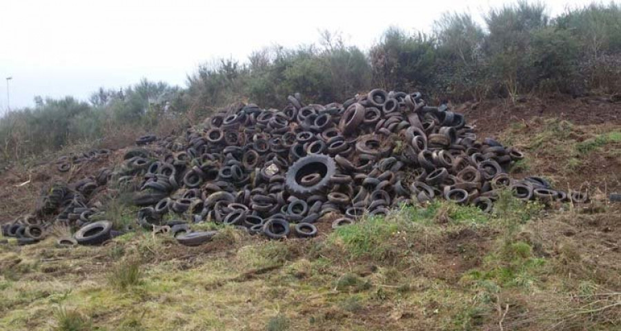 Medio Ambiente inicia la retirada de otras cien toneladas de neumáticos
