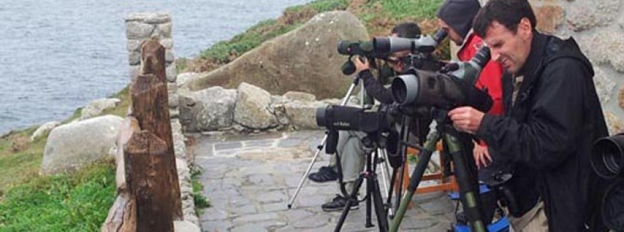 MAÑON-El Concello acoge la cita anual dedicada a las aves en migración