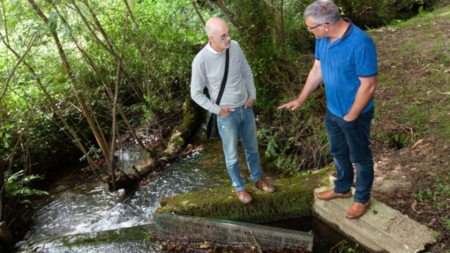 La nueva presa de A Pernuda dispondrá de un canal de paso para la fauna acuática