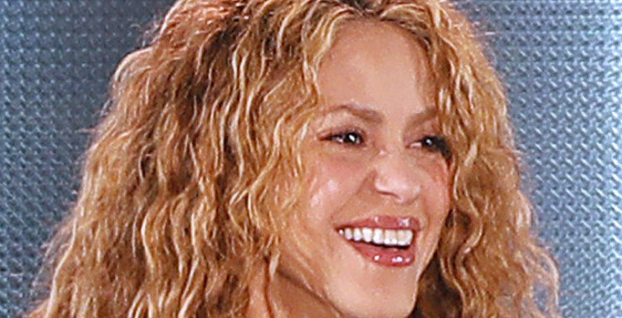 Shakira inaugura su nueva obra benéfica, un colegio en Colombia