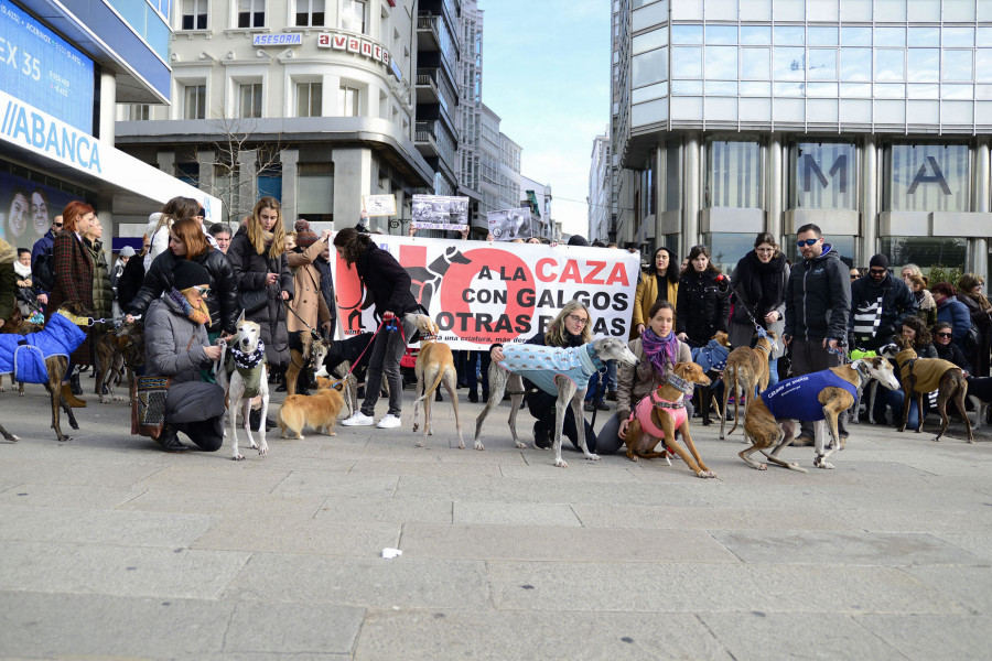 Decenas de personas se manifiestan contra la caza en A Coruña