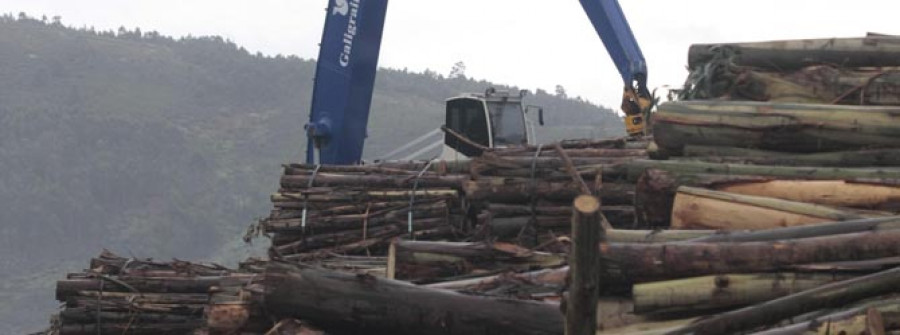Ence se quedó por debajo del tráfico mínimo fijado en la concesión del puerto