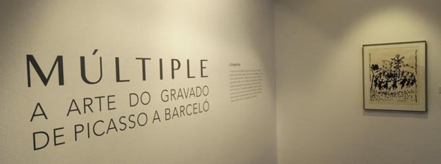 Más de 6.000 personas visitaron la exposición sobre el grabado español del siglo XX en Afundación