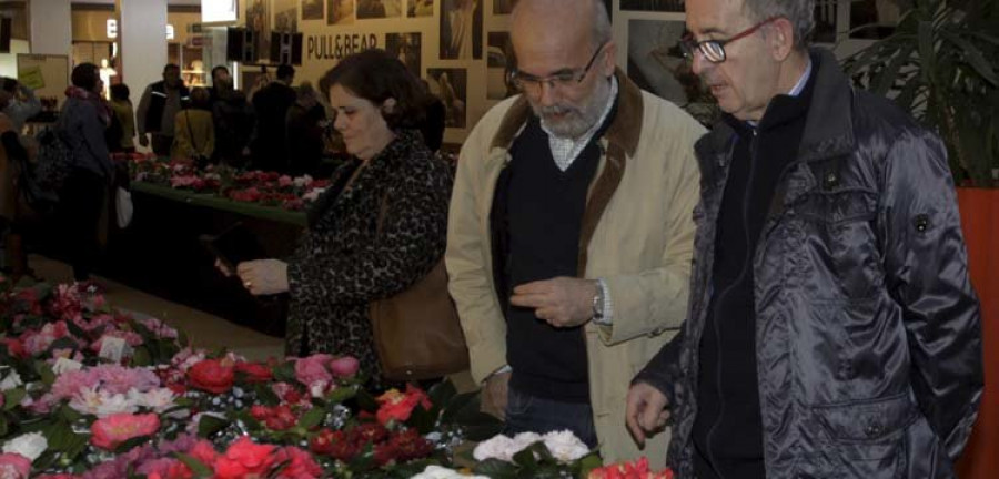 Uns corenta expositores na Mostra da Camelia de Narón