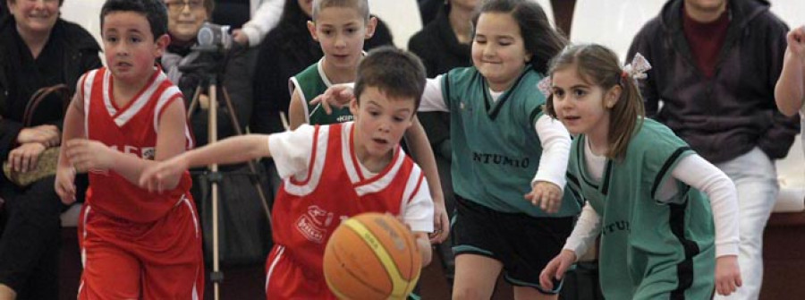 Que el baloncesto no pare