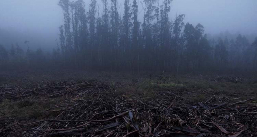 Denuncian nuevas agresiones en las mámoas megalíticas 
de los montes de Brión