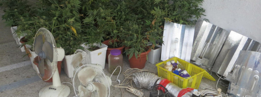 Detenidos dos hermanos de Cariño por plantar marihuana