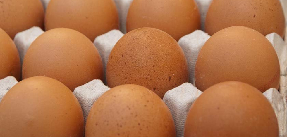 Comer un huevo al día no supone ningún riesgo para la salud