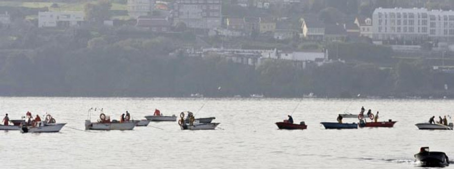 La producción de almeja en la ría, muy por debajo de lo previsto por Mar