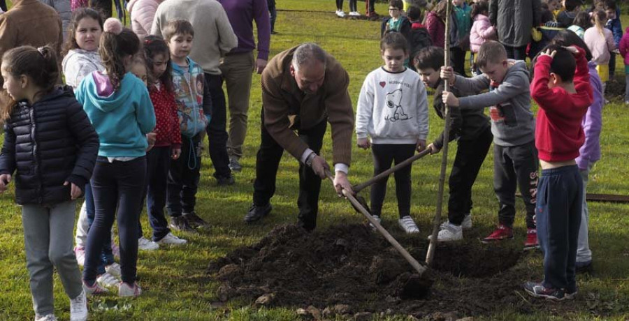 Escolares del CRA de Narón plantan una veintena de árboles en O Val