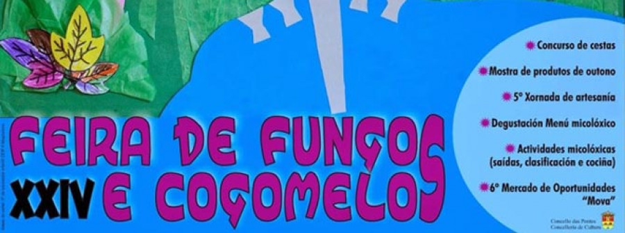 As Pontes converte a Feira de Fungos e Cogomelos nun atractivo programa de actos