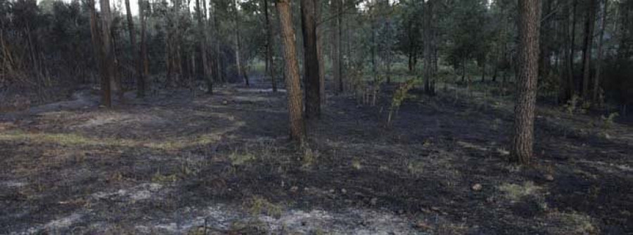 Sofocan un incendio forestal  de media hectárea en San Xiao