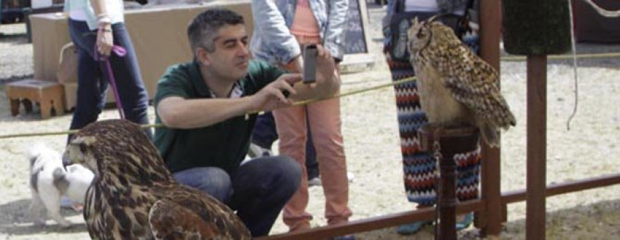 Éxito de público en la clausura  de la Feria Medieval de Valdoviño