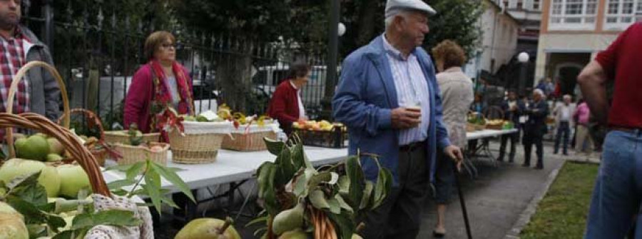 El concurso de frutas de la Festa das Peras premió ayer el lote de Carlos Castro Porta