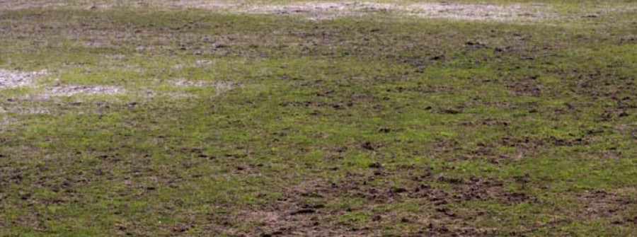 VALDOVIÑO-Denuncian el mal estado en el que se encuentra el campo de fútbol municipal