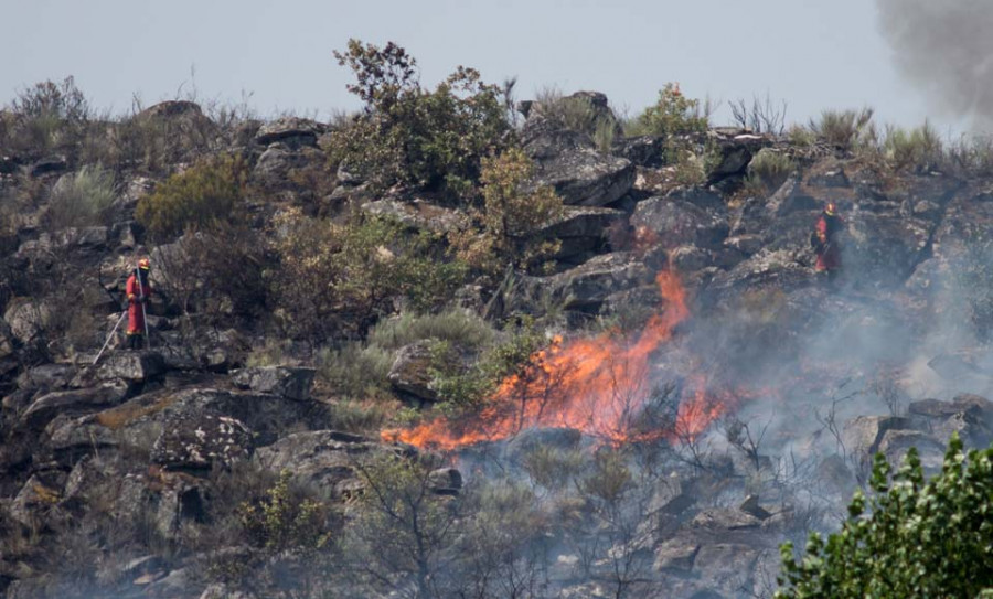 Los incendios de Cualedro y Rodeiro arrasan más de 1.600 hectáreas