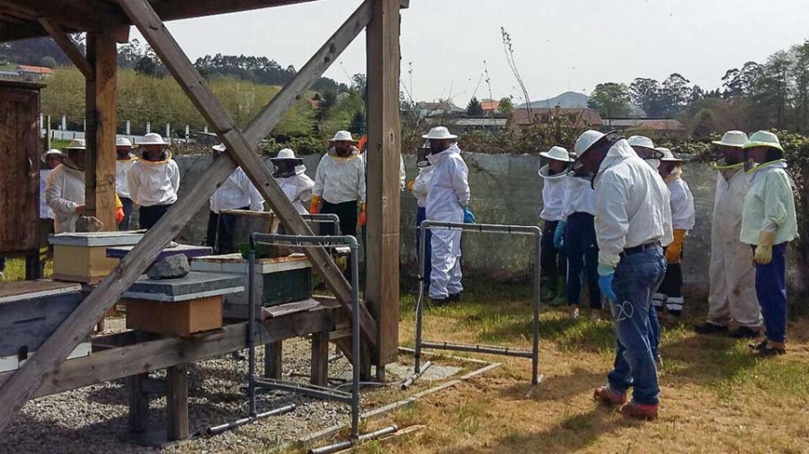El Concello de San Sadurniño y la Casa do Mel ofrecerán un nuevo curso de apicultura