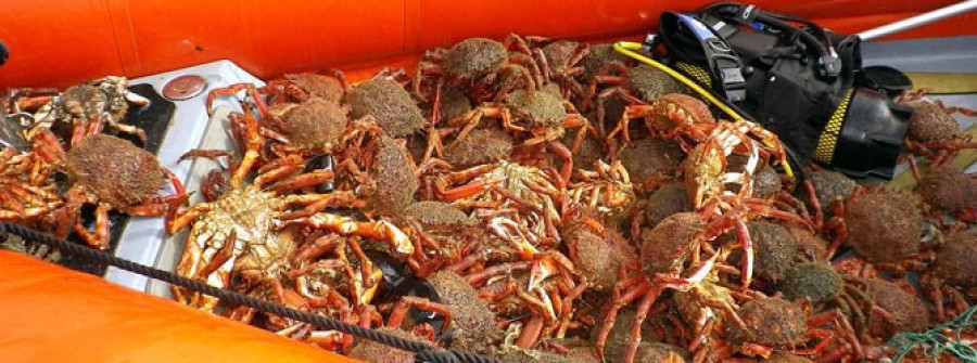 Chile tiene los mejores mariscos después de Galicia, según Rafael Ansón