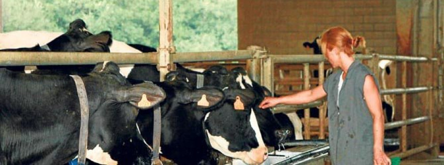El sector lácteo de la comarca teme una bajada de precios por el veto ruso a la UE