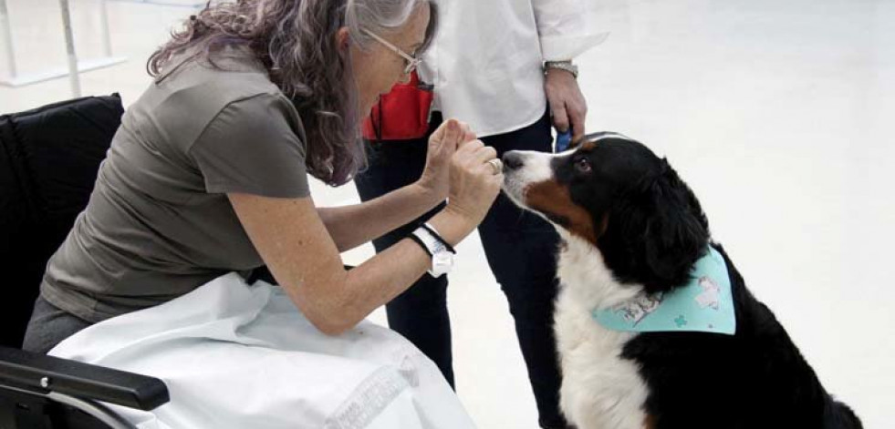 Los perros como terapia ante una larga estancia hospitalaria