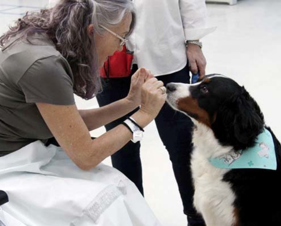 Los perros como terapia ante una larga estancia hospitalaria