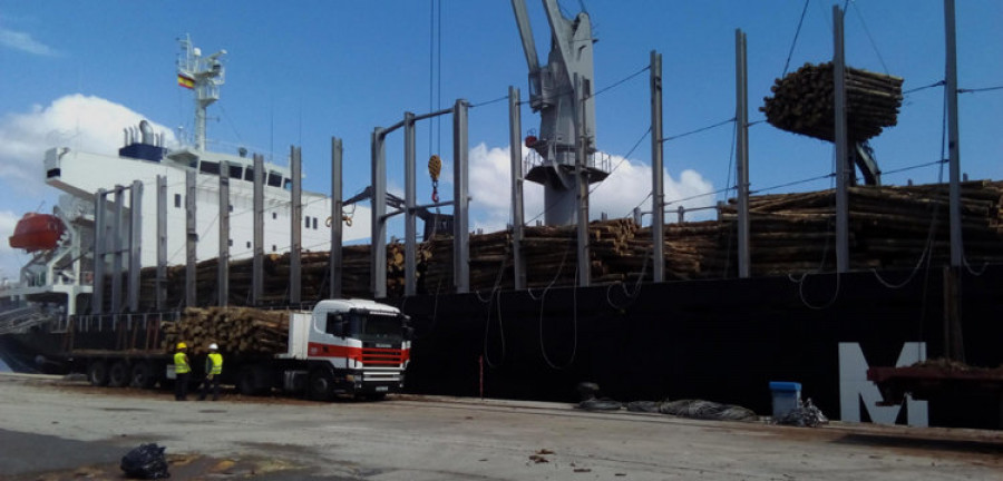 El puerto exterior acoge la mayor operación de carga de tronco de pino realizada en Europa