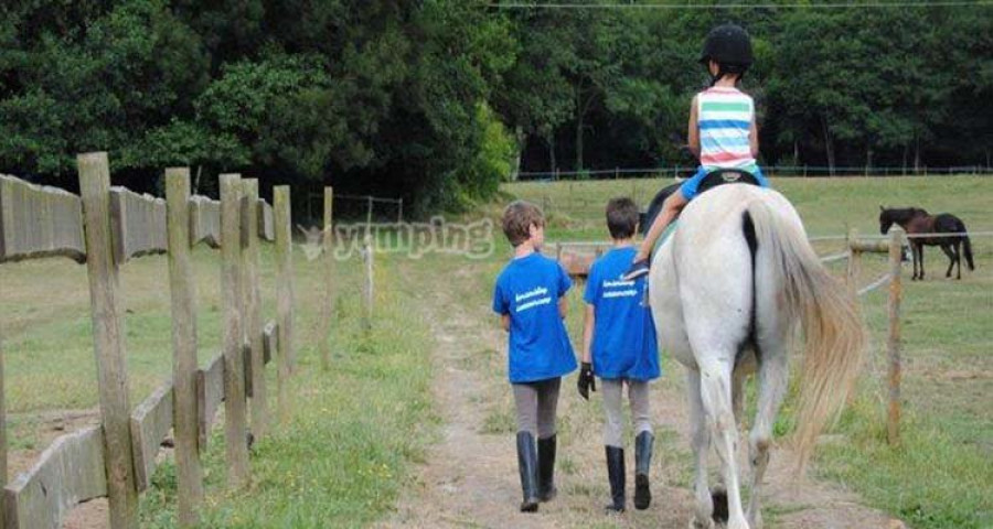 Una granja de Ortigueira ayuda 
a la terapia de jóvenes autistas
