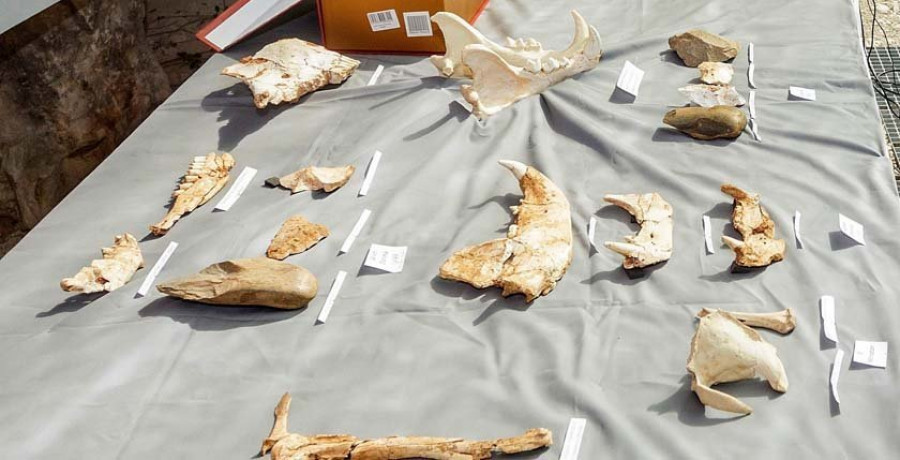 Hallada en Atapuerca una adolescente de 300.000 años