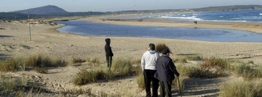 VALDOVIÑO-La SGHN llama la atención sobre los efectos de los perros en los arenales