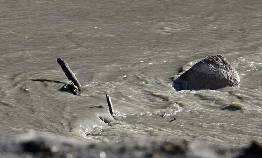 Entidades ecologistas denuncian “sedimentos tóxicos” en el río Eume