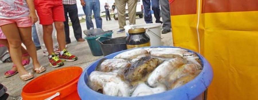 Los pescadores participantes en la Fiesta del Choco de la Ría capturaron 85 kilos
