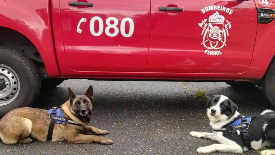 Dos perros de Casaga entran en la Unidad Militar de Reservistas de las Fuerzas Armadas