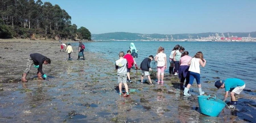 Unos 500 escolares participarán en la campaña del GALP Golfo Ártabro para la concienciación marina