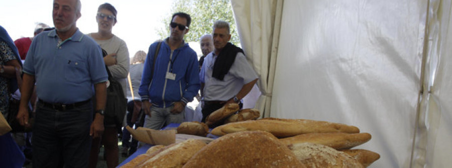 El pan de Neda conquistó un año más el paladar del numeroso público que respaldó la fiesta